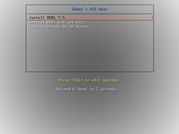 PXE Menu (BIOS)