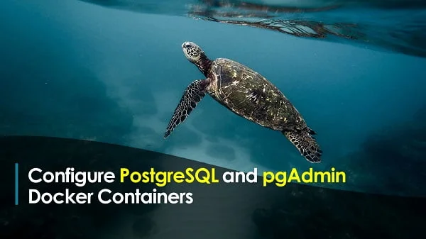 How to Run Postgres Docker Container