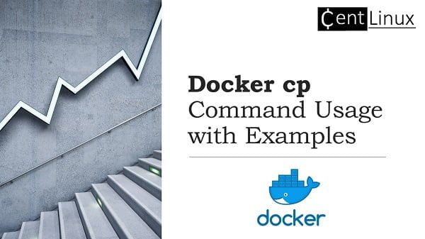 Best Docker cp Command Examples with Usage