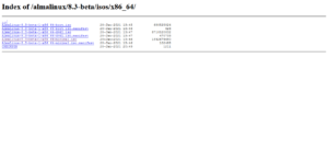AlmaLinux 8 Minimal installation with screenshots | CentLinux