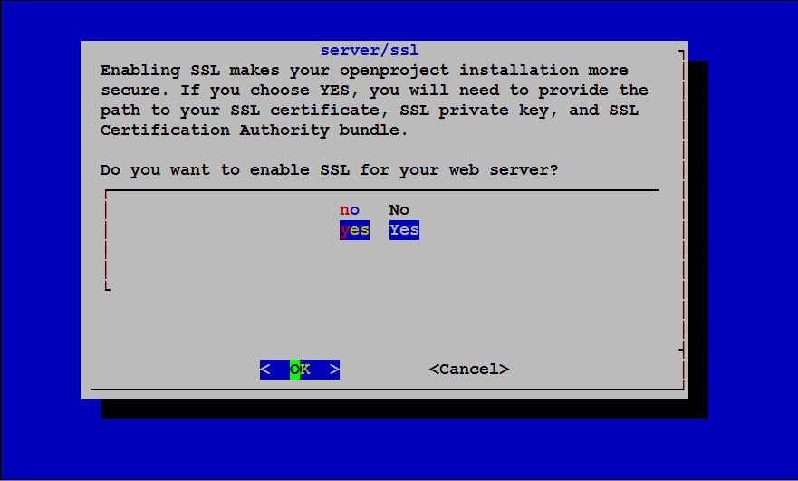 OpenProject SSL Configuration