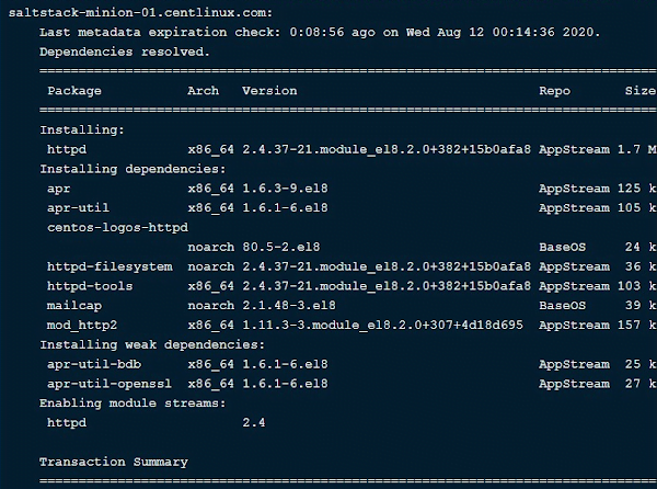 Remote Command Execution on Salt Minion