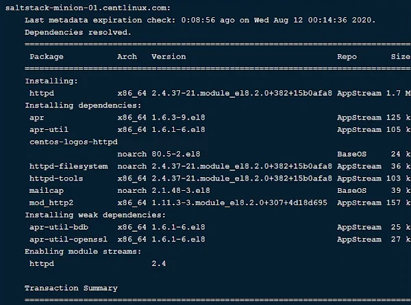 01-remote-execution-saltstack-minion-command Remote Command Execution on Salt Minion