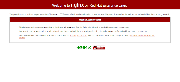 Nginx Default Homepage