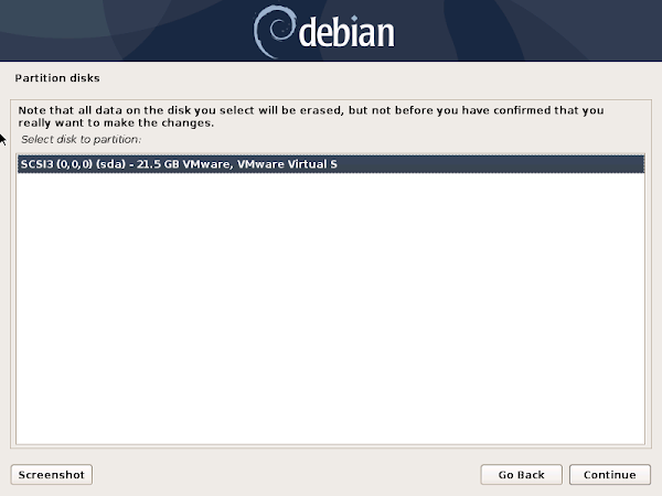 Debian Server - Partition Disks 2