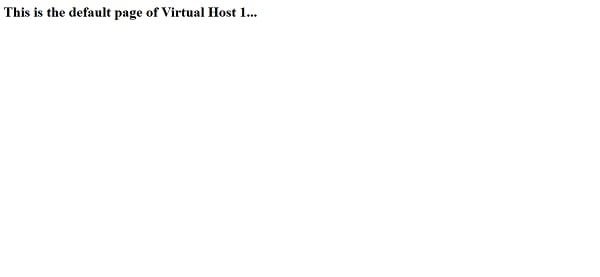 Apache Virtual Host 1 Page