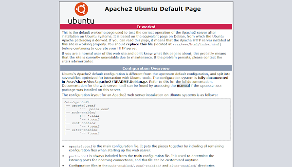 Apache2 Default Homepage