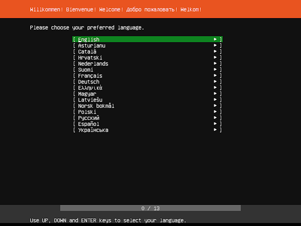 Ubuntu Server - Preferred Language