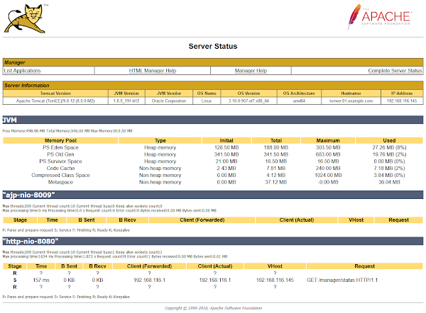 Apache TomEE Server Status