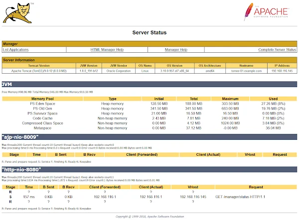 Apache TomEE Server Status Apache TomEE Server Status