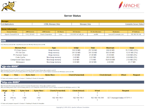 Apache Tomcat Server Status