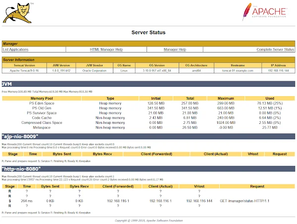 apache-tomcat-9-server-status-01 Apache Tomcat Server Status