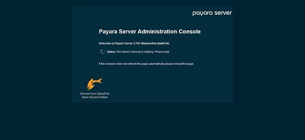 Payara Server Administration Console