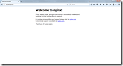 Nginx Default Page