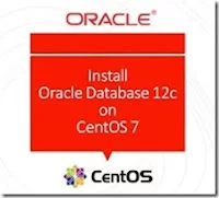 How to install Oracle 12c on Linux