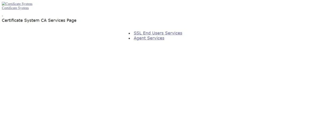 Install Certificate Authority Server on Rocky Linux 9 7 Dogtag Certificate System 3