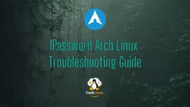 1Password Arch Linux Troubleshooting Guide